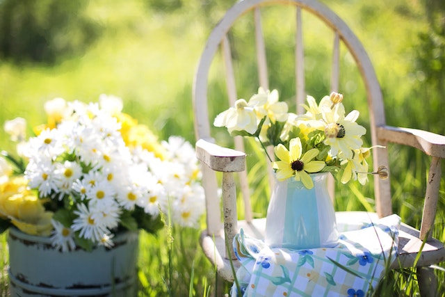 Gartenarbeit im Frühling: Die besten Schritte für einen gelungenen Start